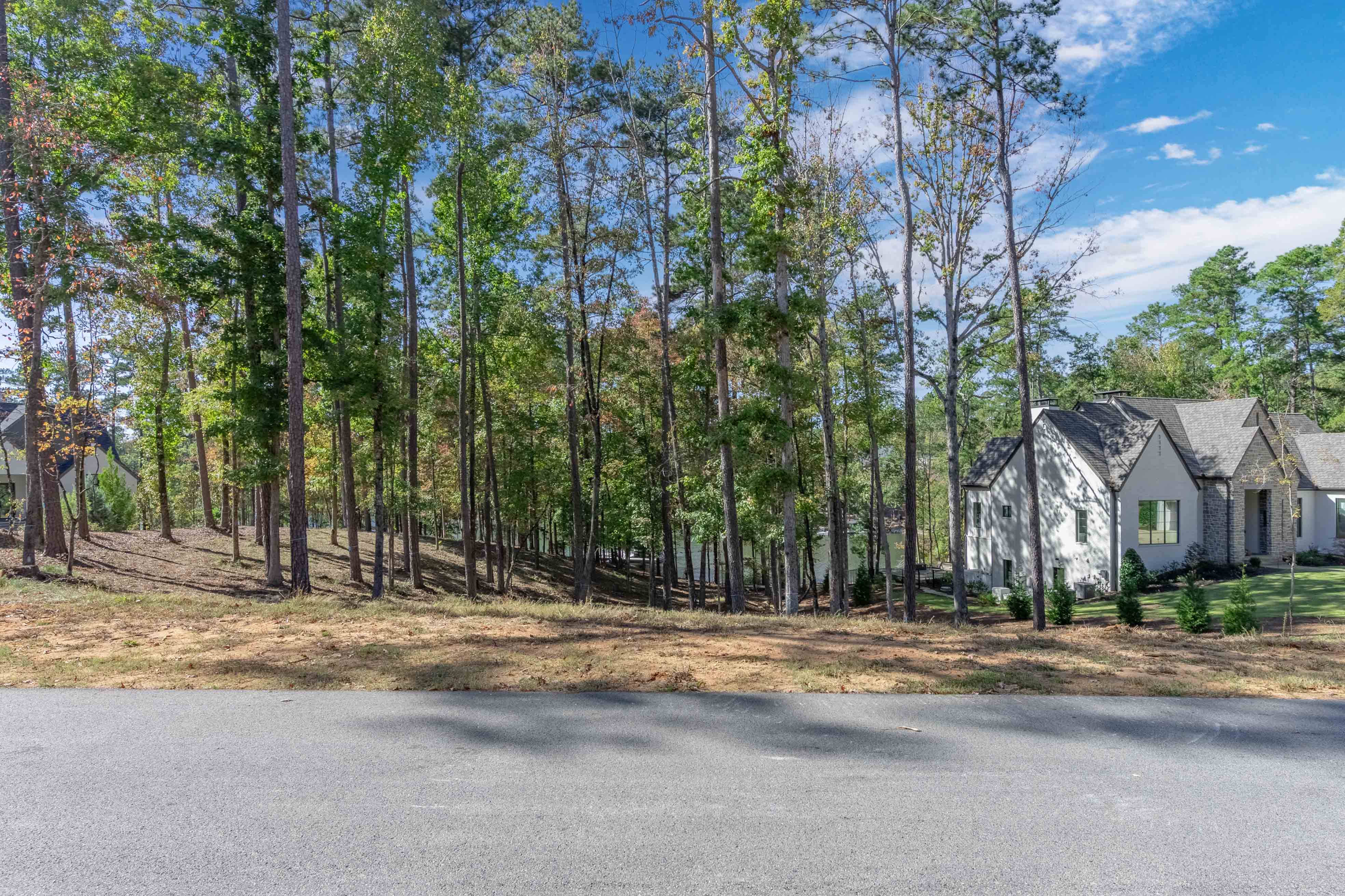 1545 Night Heron Drive image 2